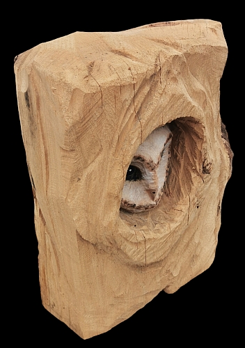 scheiereule barn owl eule holz motorsge kettensge schnitzen kettesgenkunst motorsgenkunst holzwerker